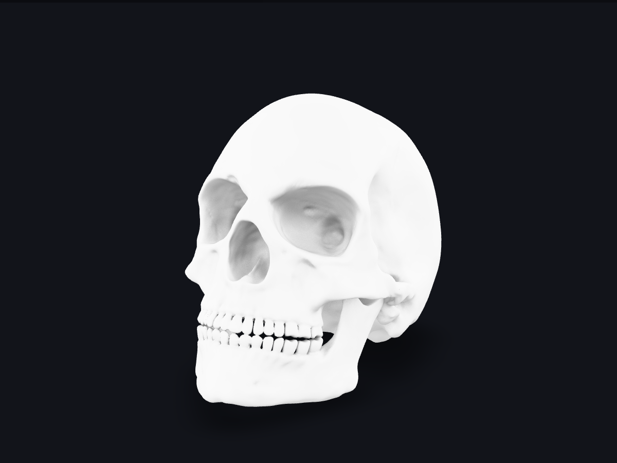 Human Skull — Subsurface Scattering