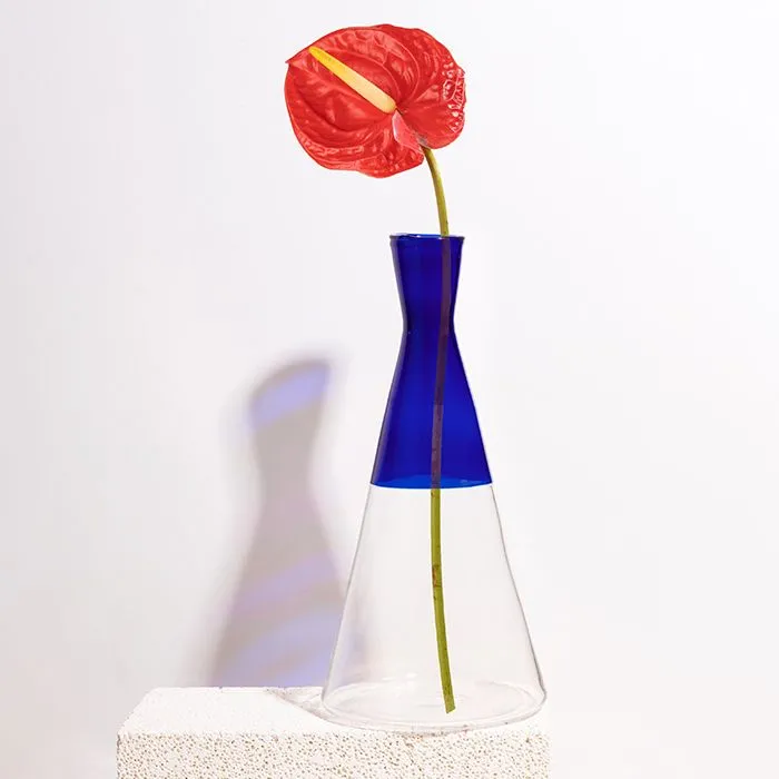 Isla Vase — image 5