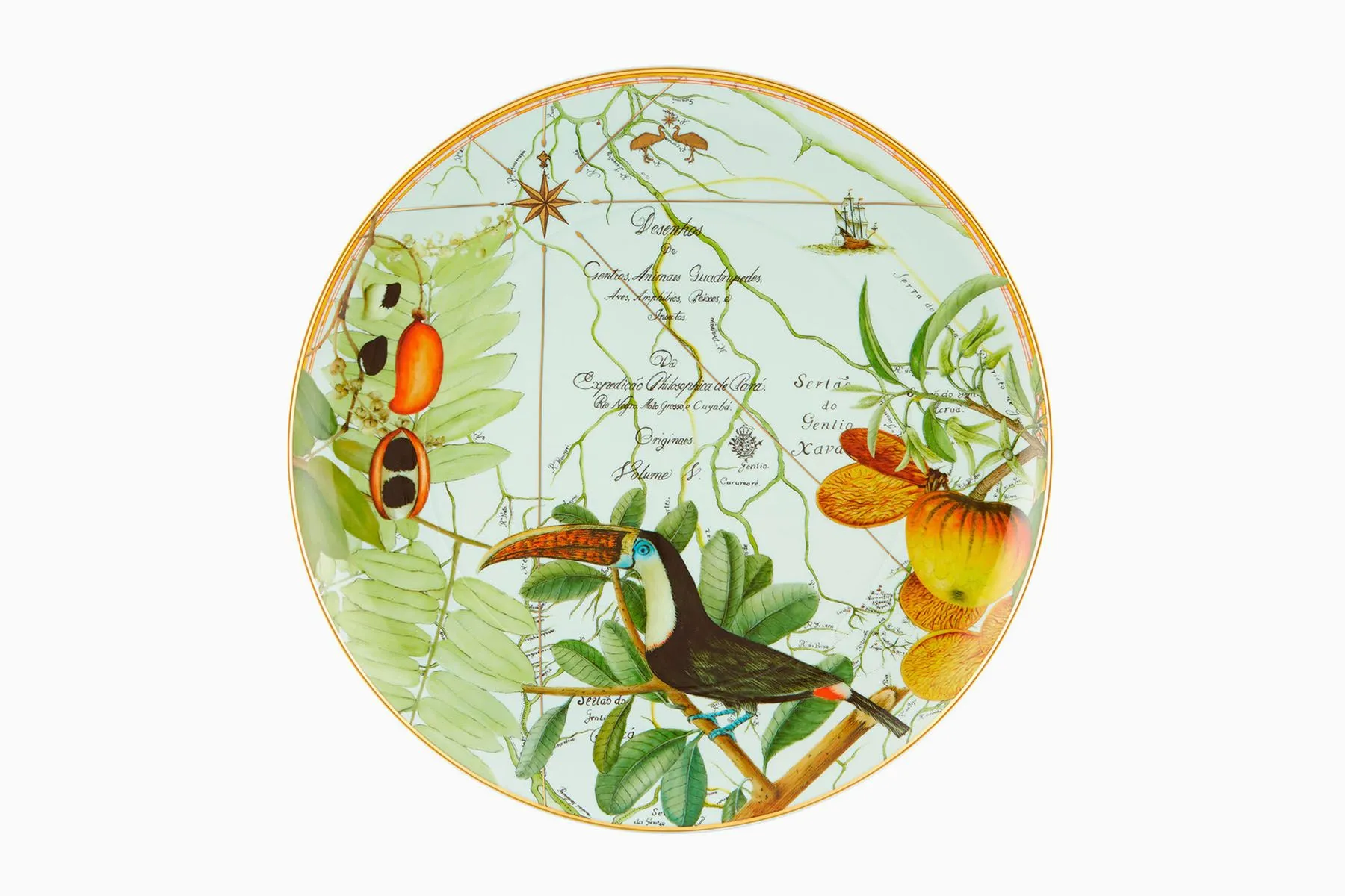 Plate XL Amazonia — image 1