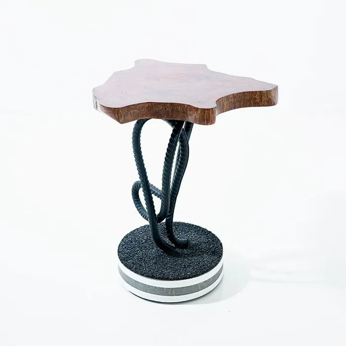 Amoeba Coffee Table — image 7