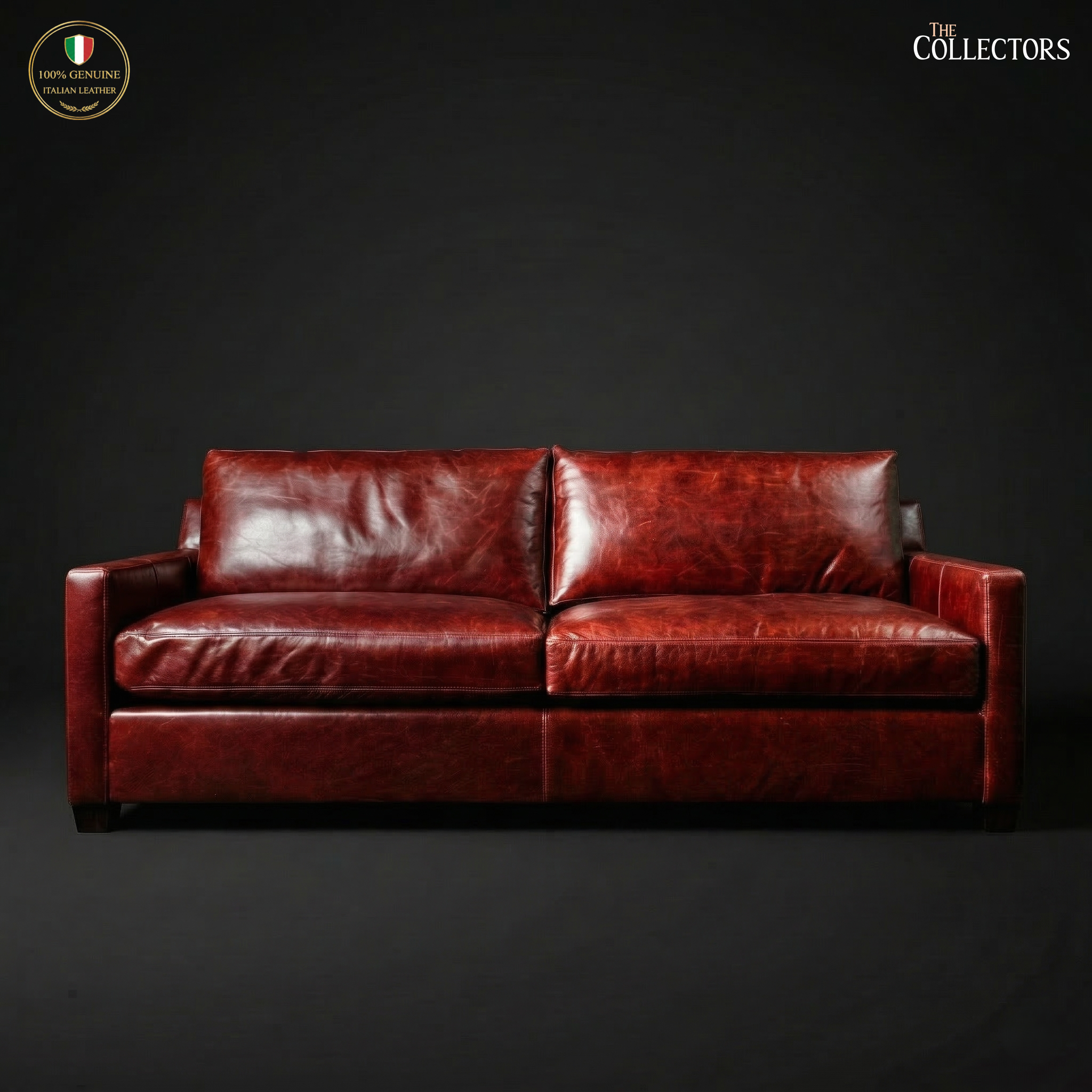 Oltrarno Atelier Modernist Leather Sofa — image 1