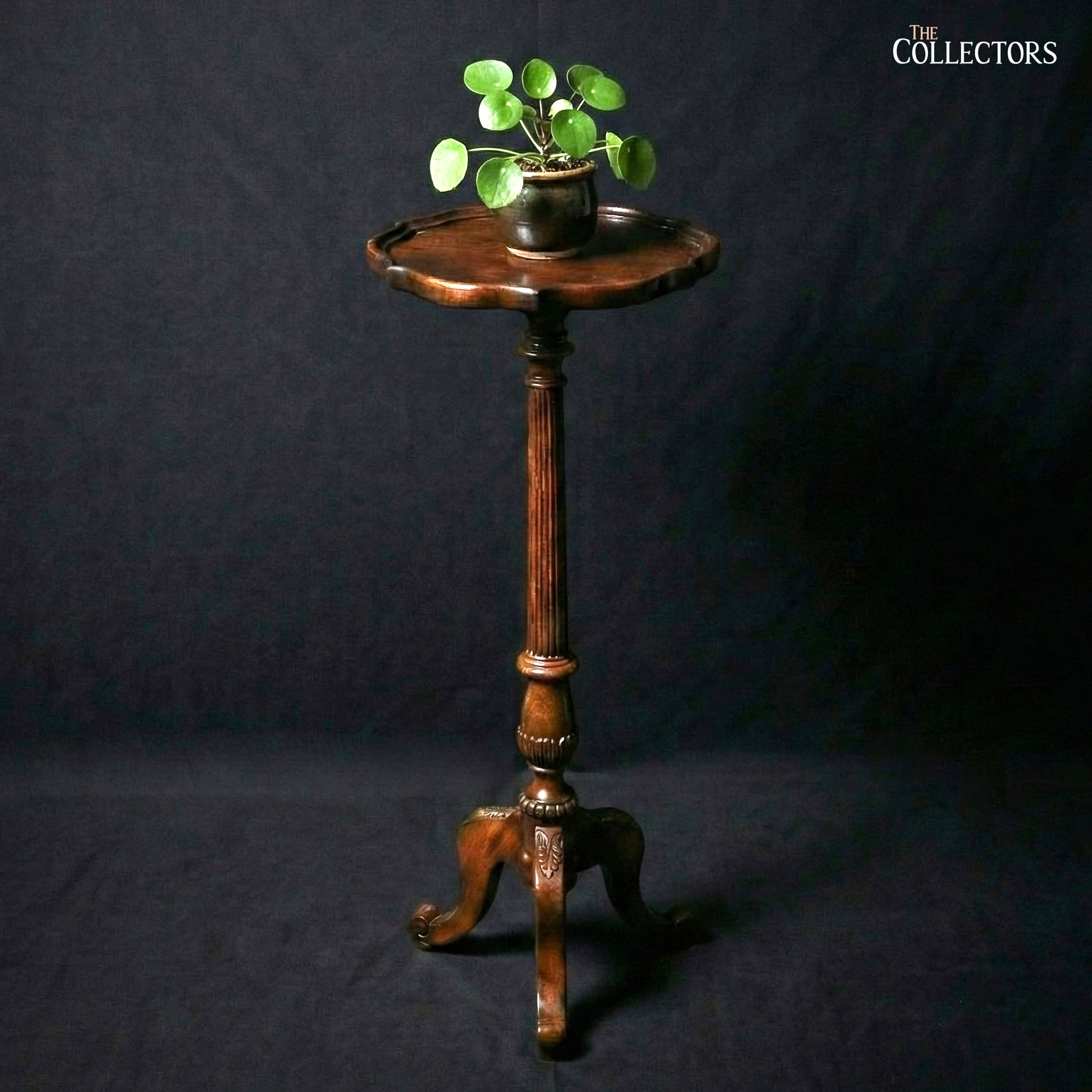 The Chatsworth Pedestal Plant Stand — image 1