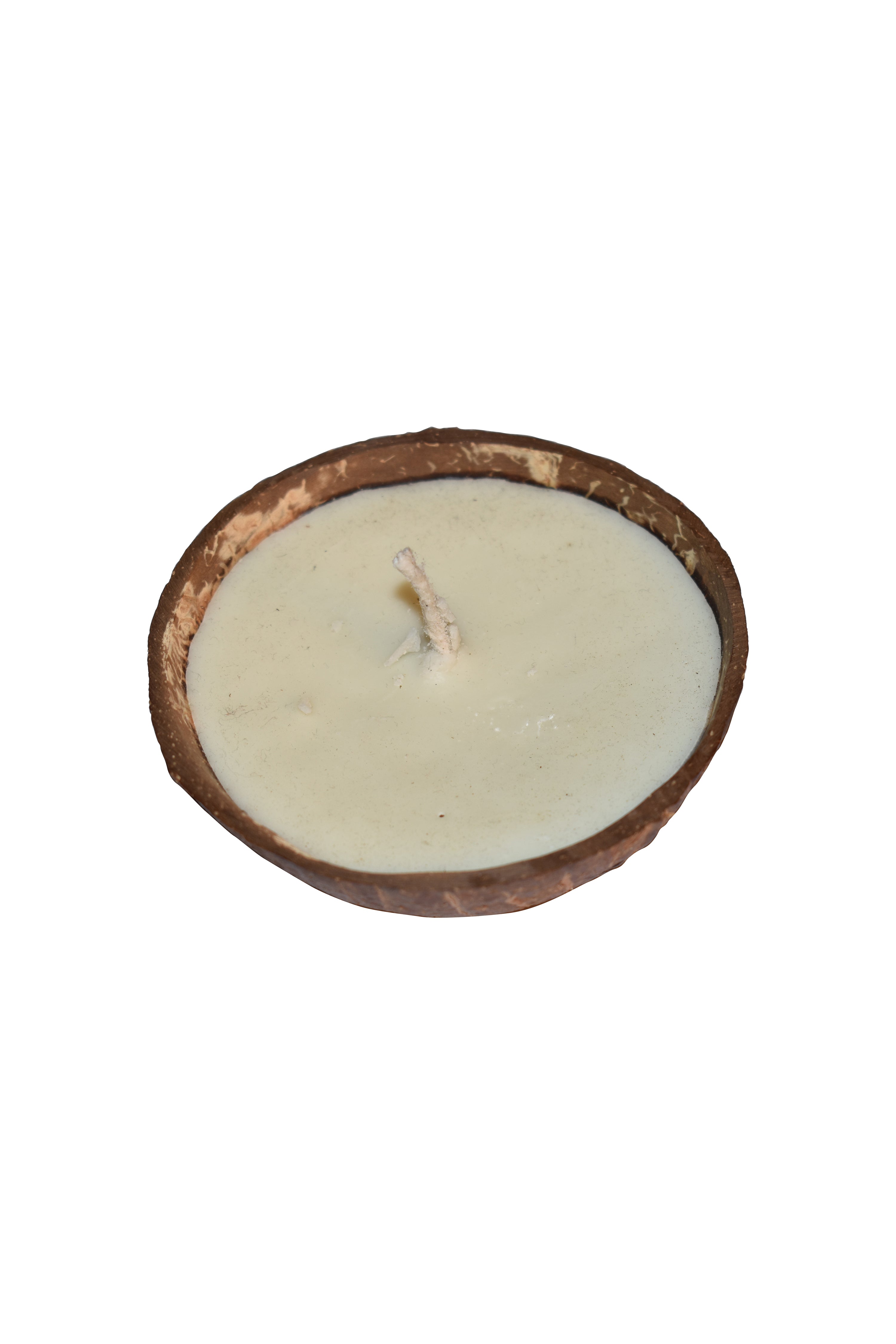 Green Apple HANDMADE COCONUT SHELL CANDLE — image 1