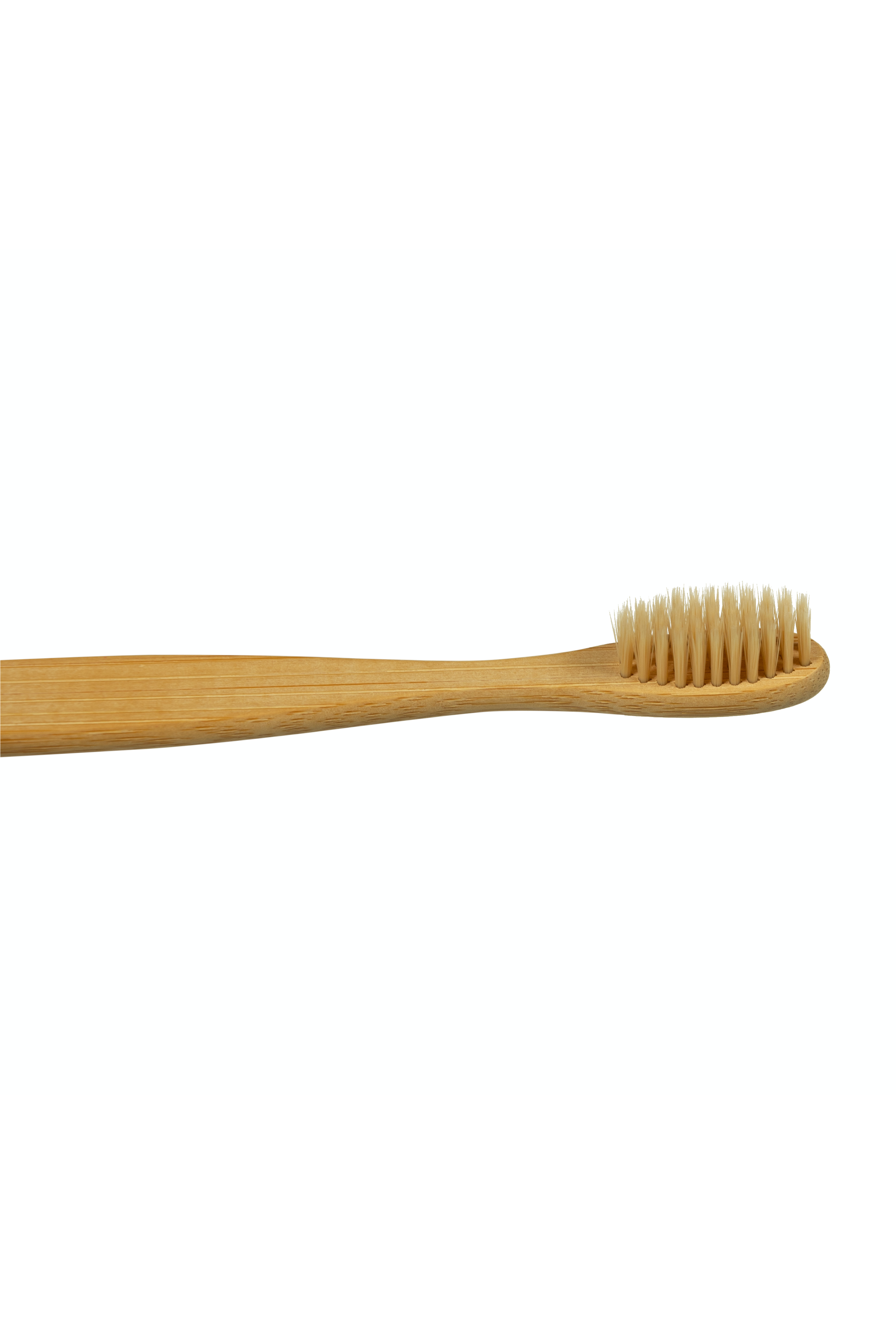 Bamboo Plant based Toothbrush 1 Pack — image 4