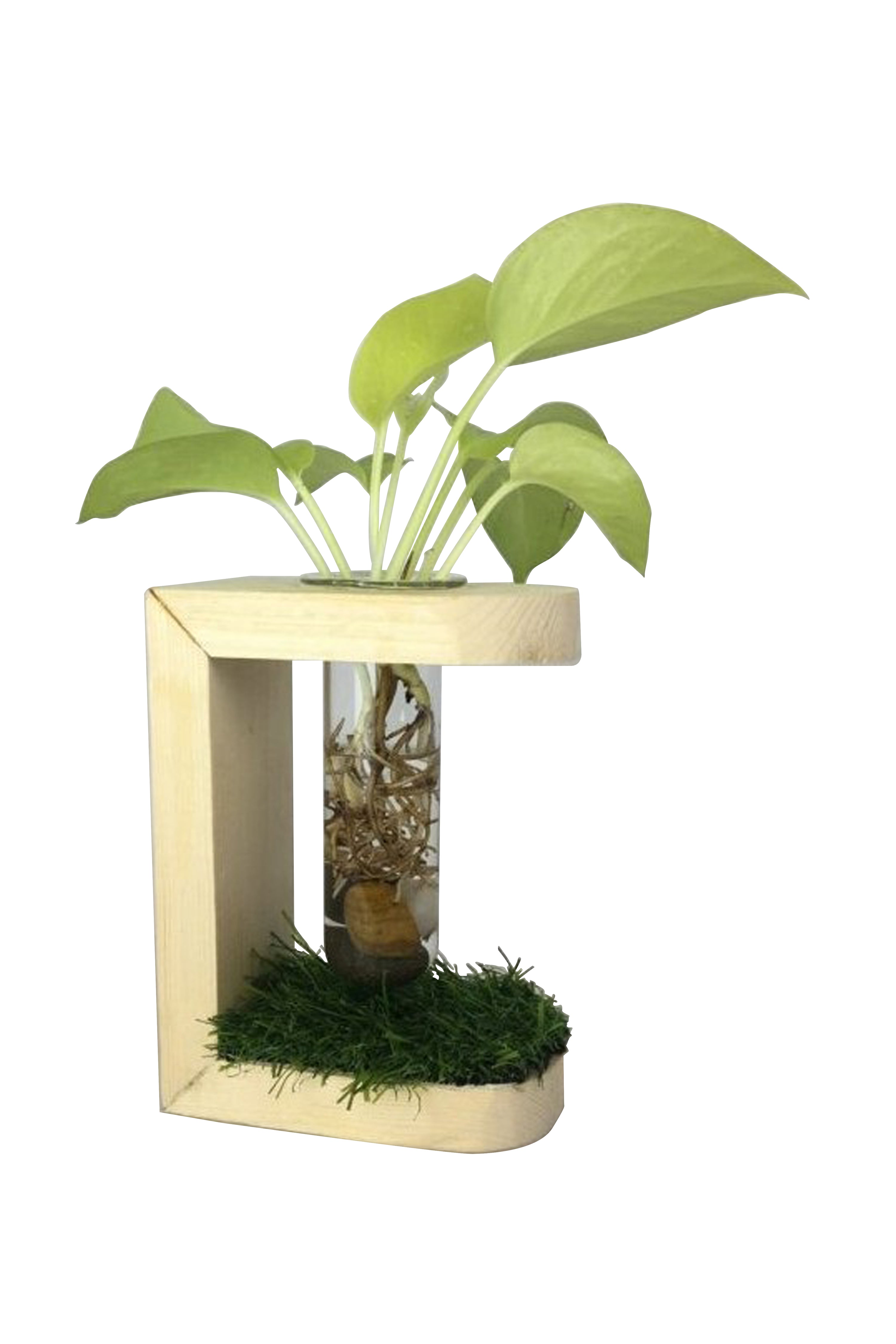 Desktop Garden - Crescent Moon Hydroponic Planter — image 1