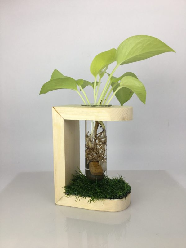 Desktop Garden - Crescent Moon Hydroponic Planter — image 2