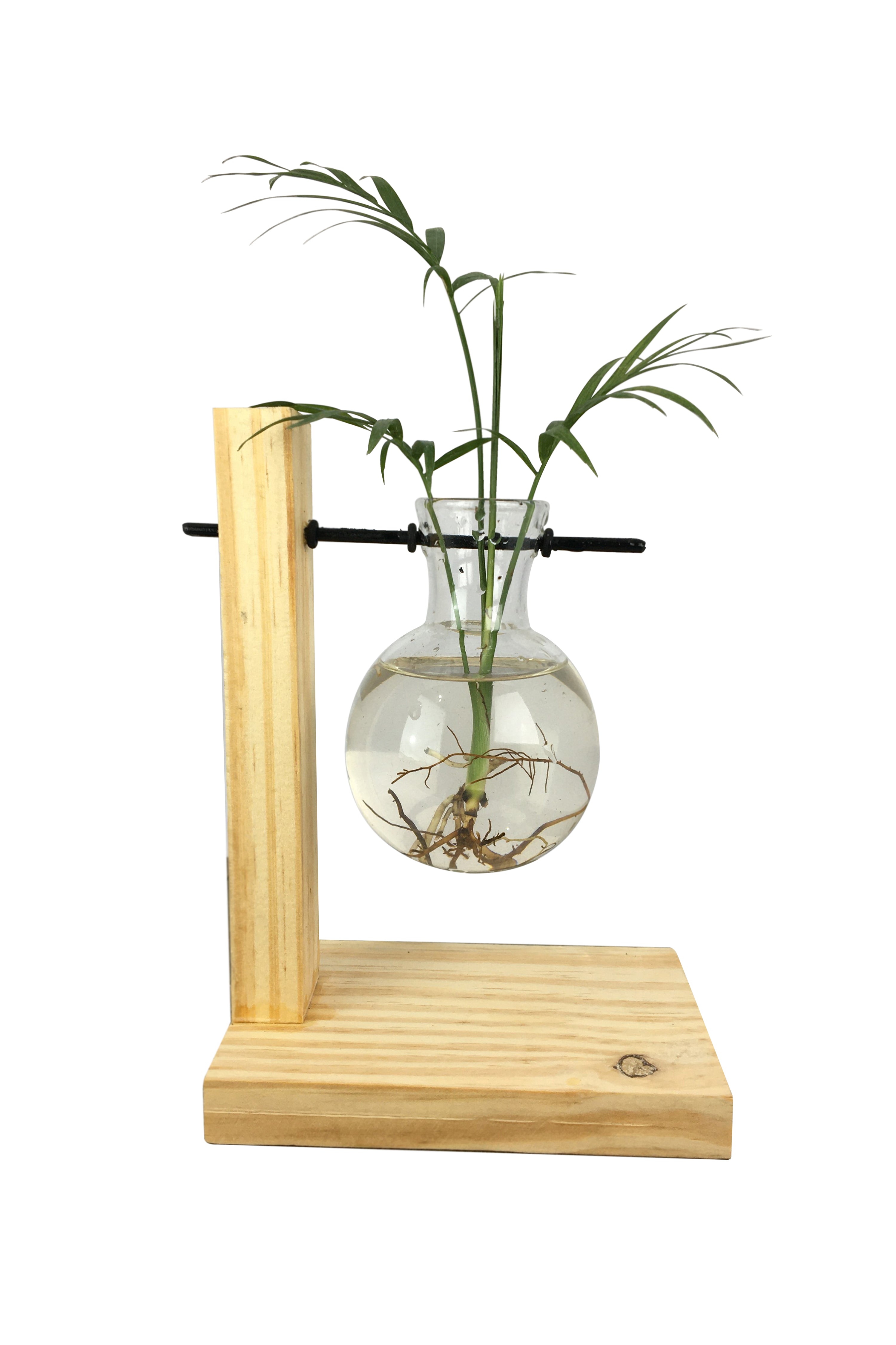 Desktop Garden - Floating Bulb Hydroponic Planter — image 1