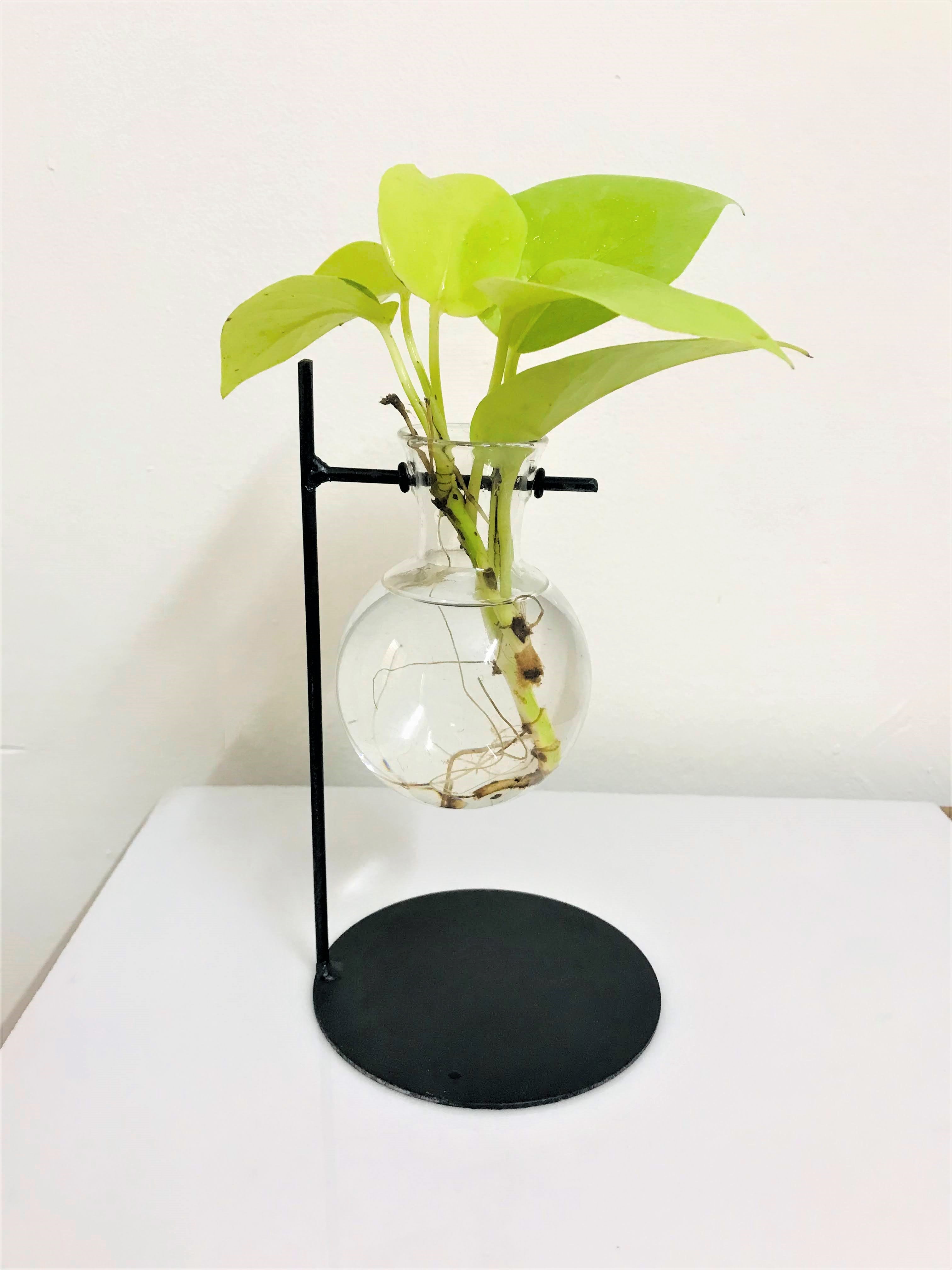 DESKTOP GARDEN - FLOATING BULB METAL PLANTER — image 2