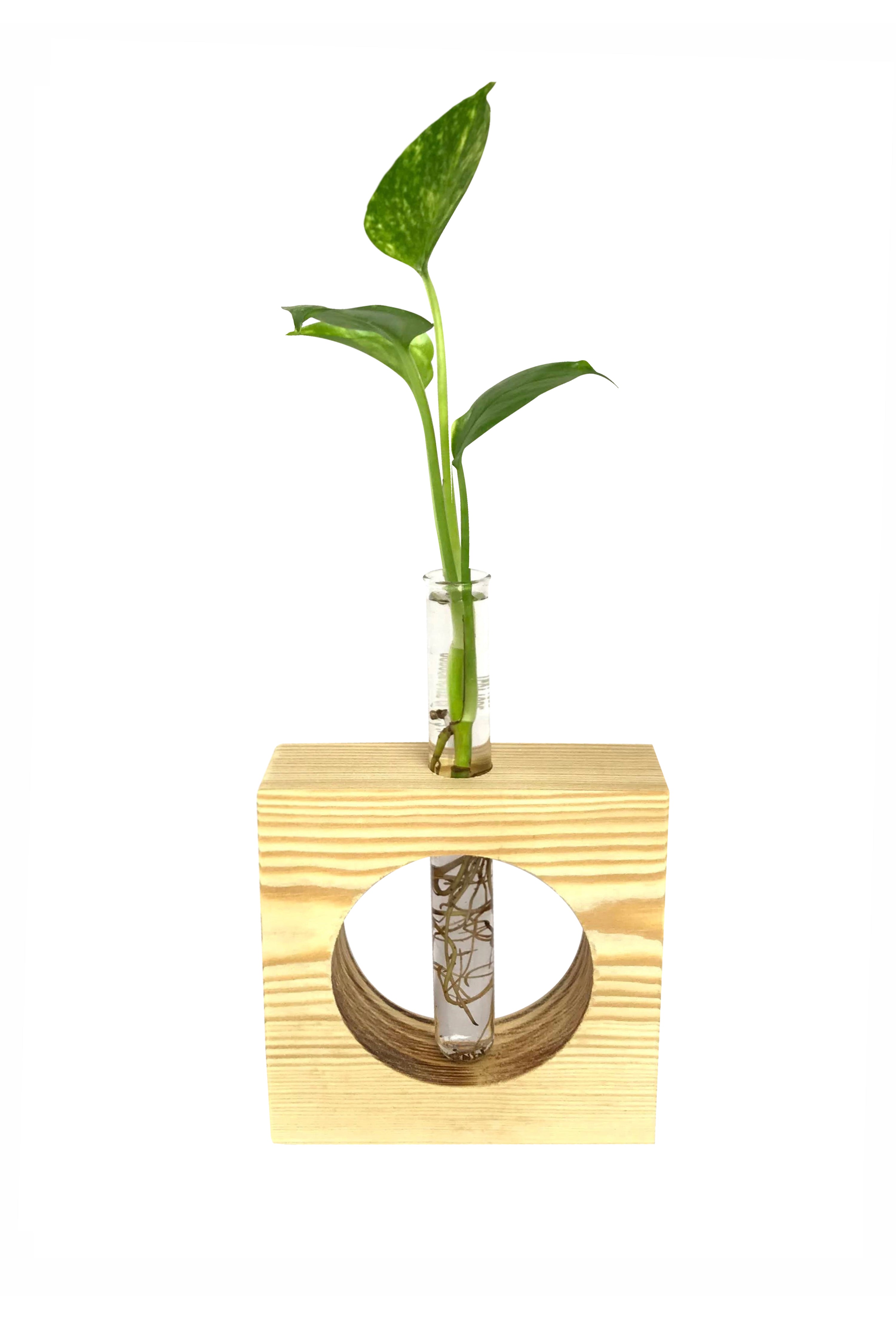 Desktop Garden - Full Moon hydroponic Planter