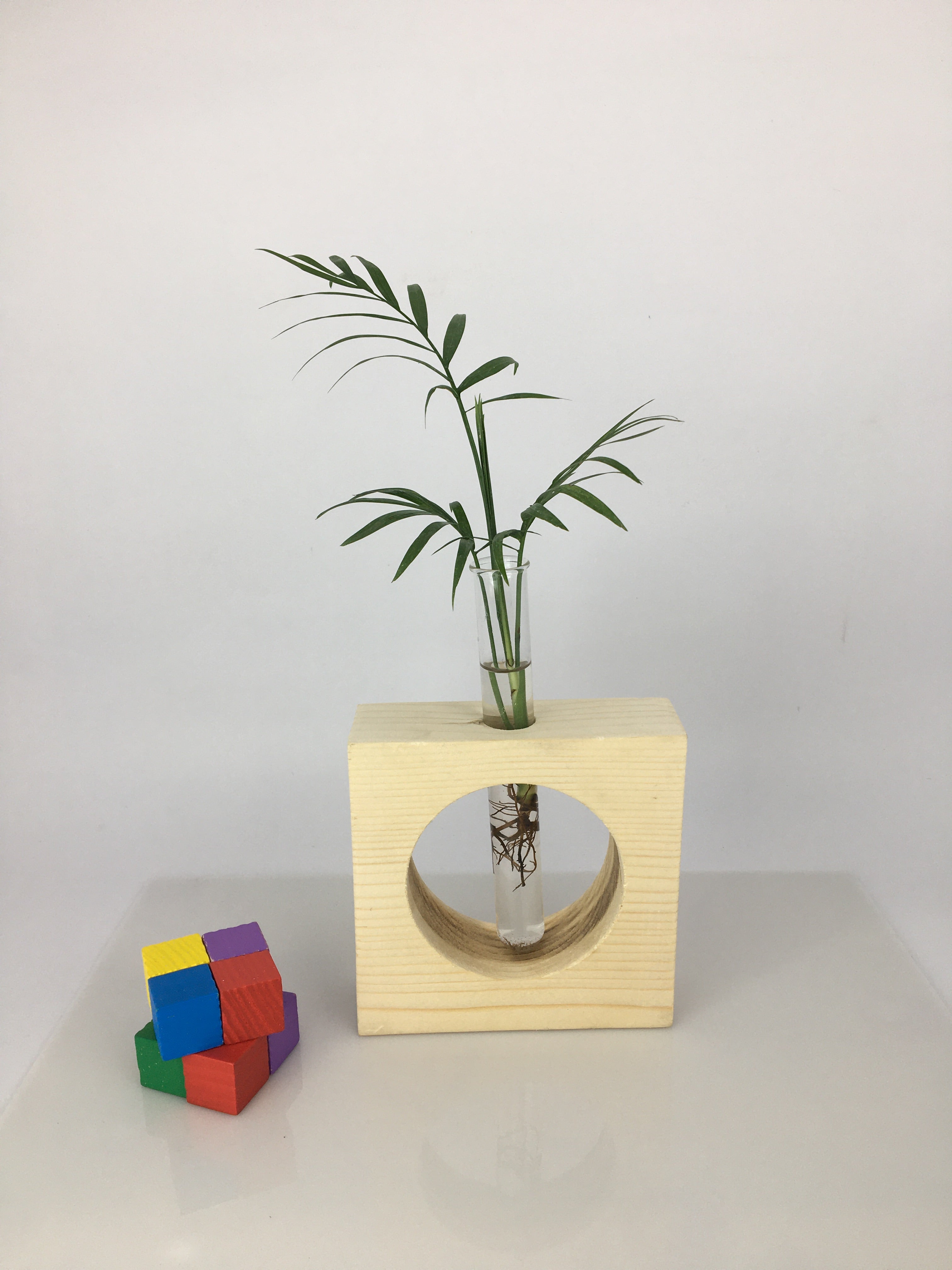 Desktop Garden - Full Moon hydroponic Planter — image 2