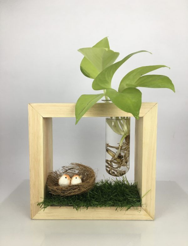 Desktop Garden - Levitating Test Tube Hydroponic Planter With Bird Nest — image 2