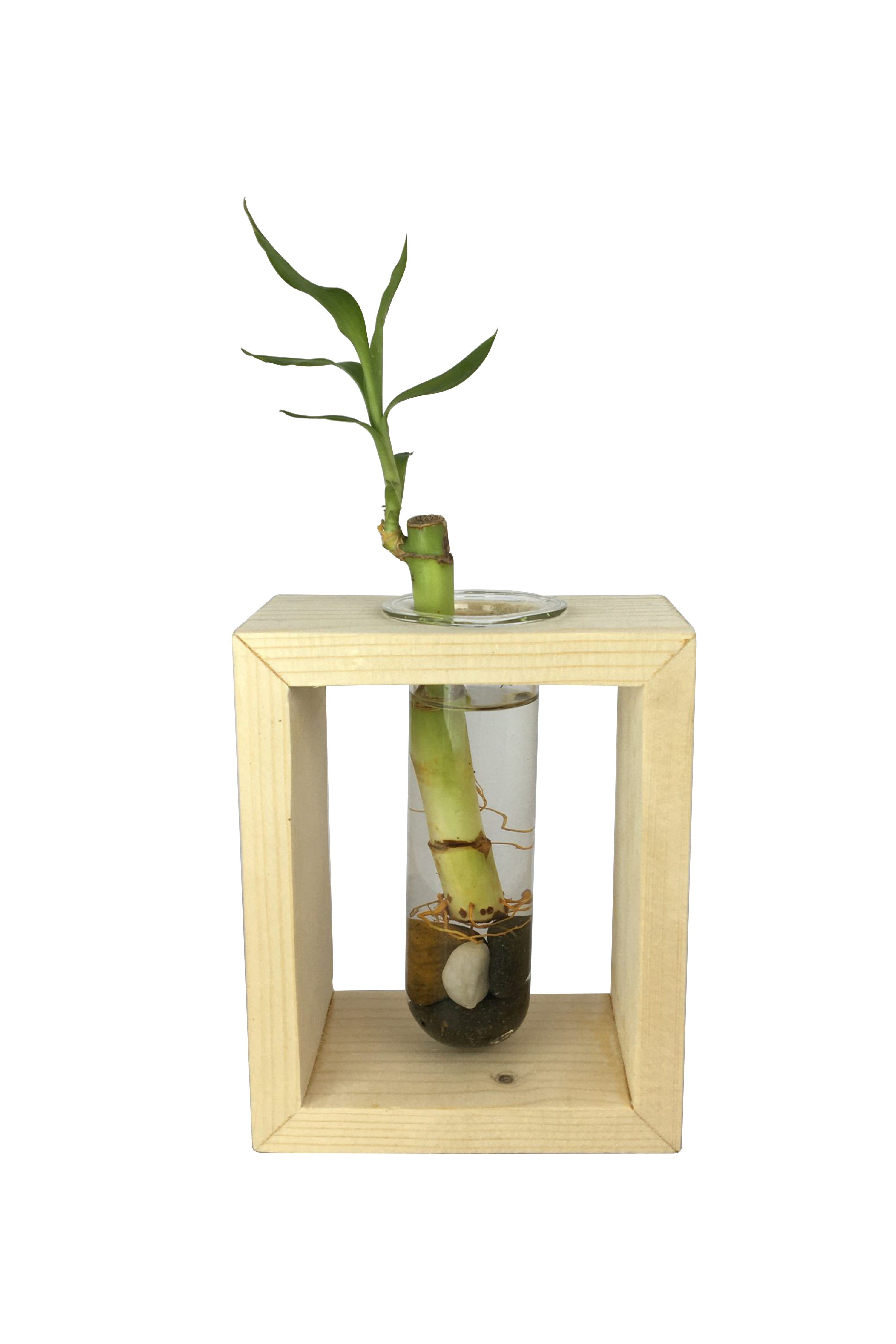 Desktop Garden - Single Test Tube Hydroponic Planter — image 1