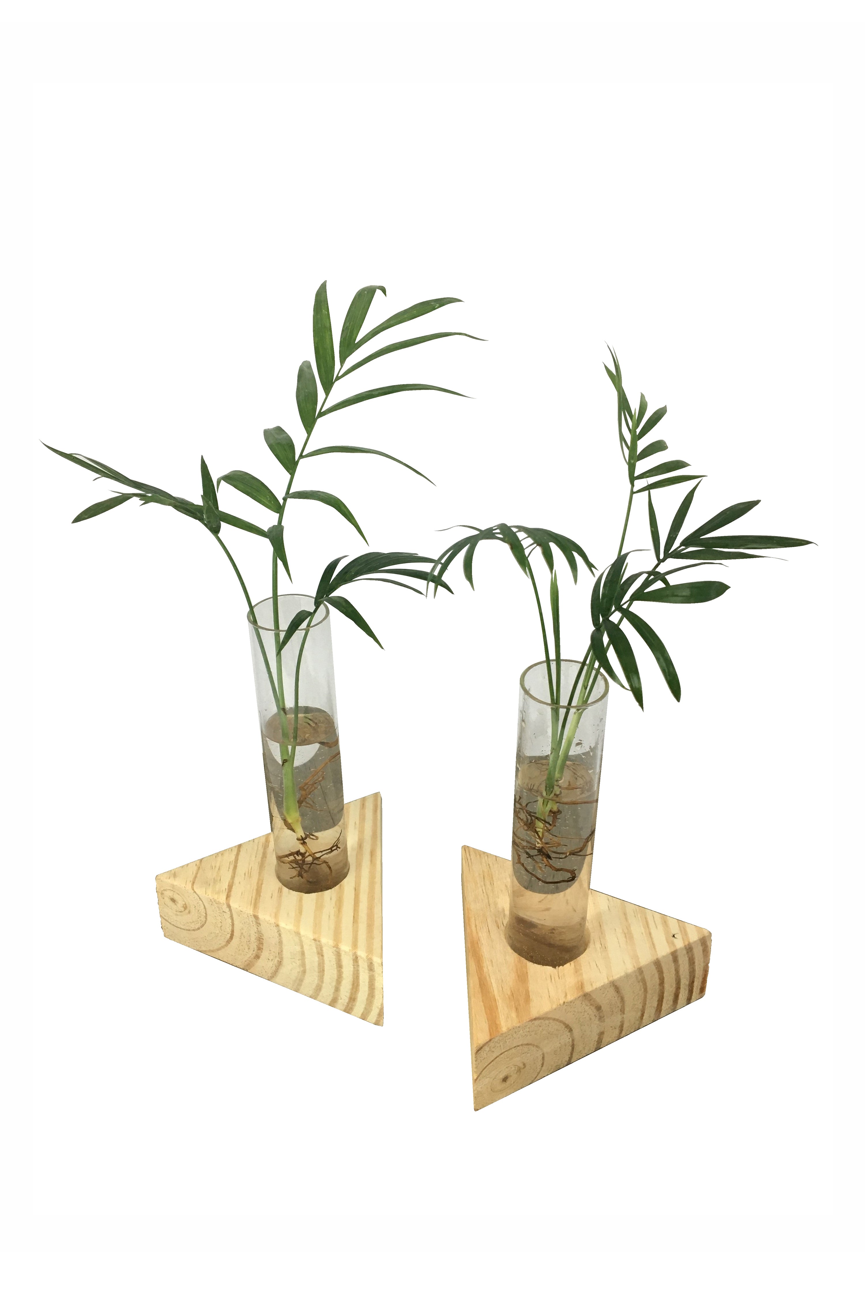 Desktop Garden - Triangular Hydroponic Planter (Set of 2)