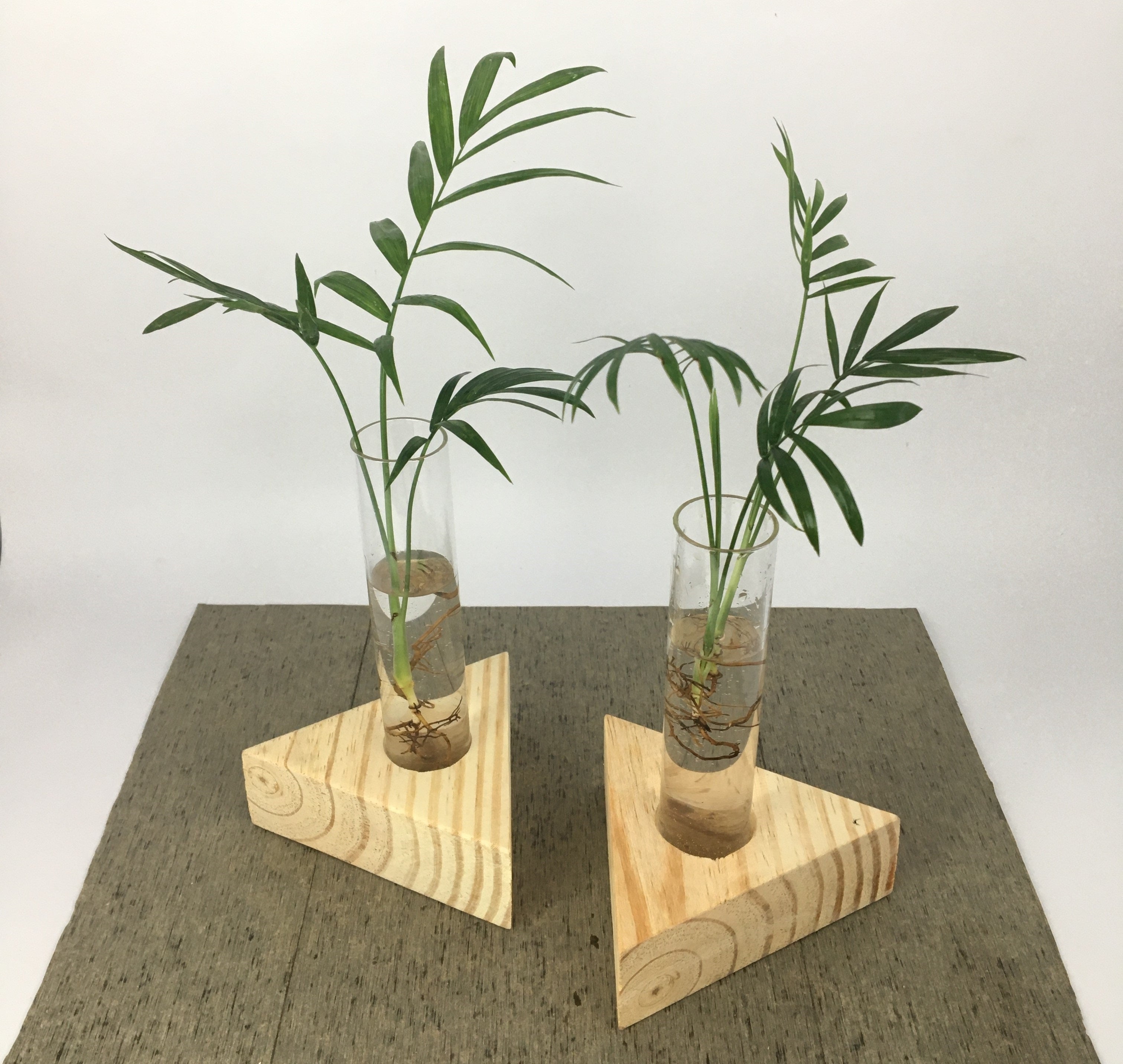 Desktop Garden - Triangular Hydroponic Planter (Set of 2) — image 2