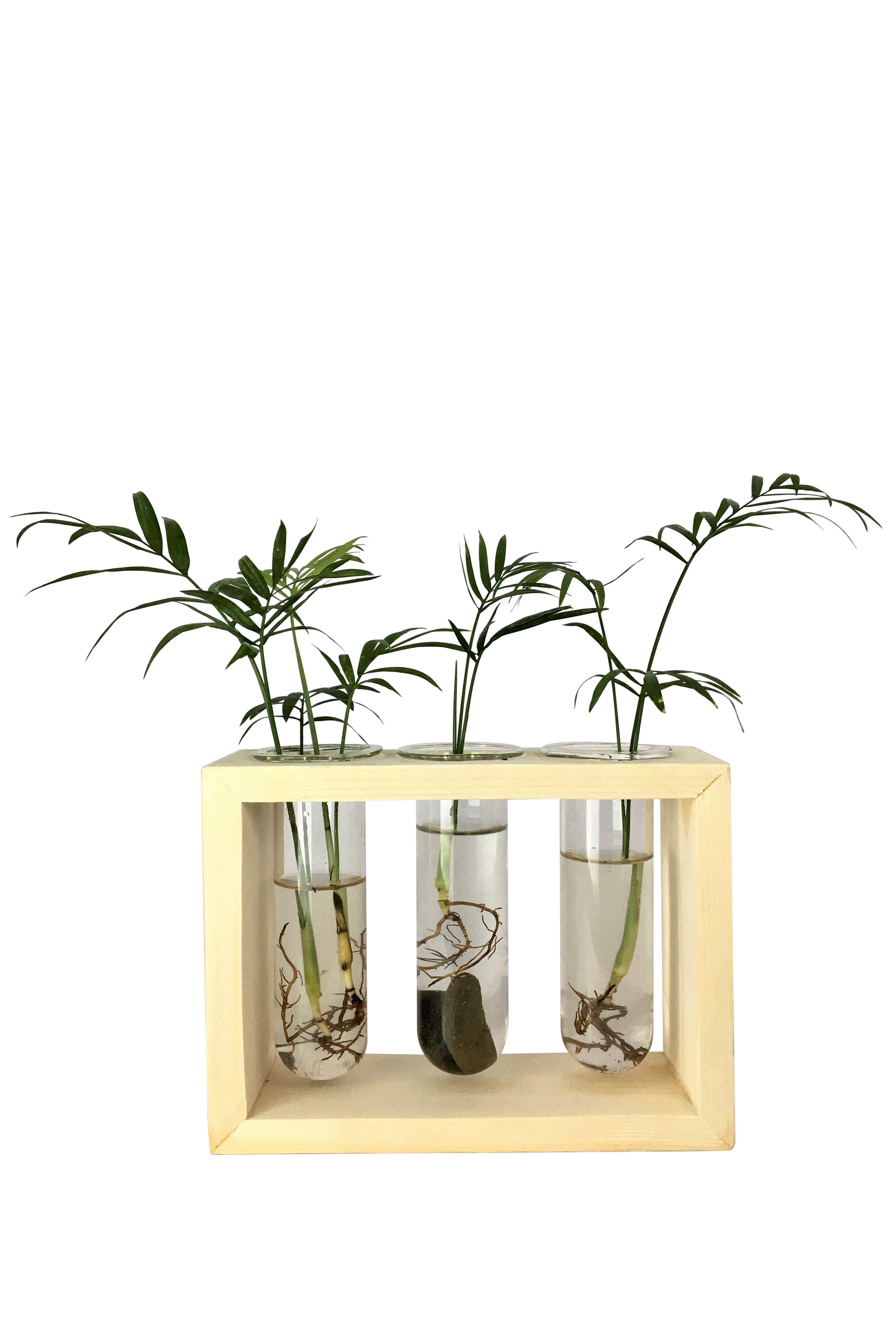 Desktop Garden - Triple Hydroponic Planter — image 1