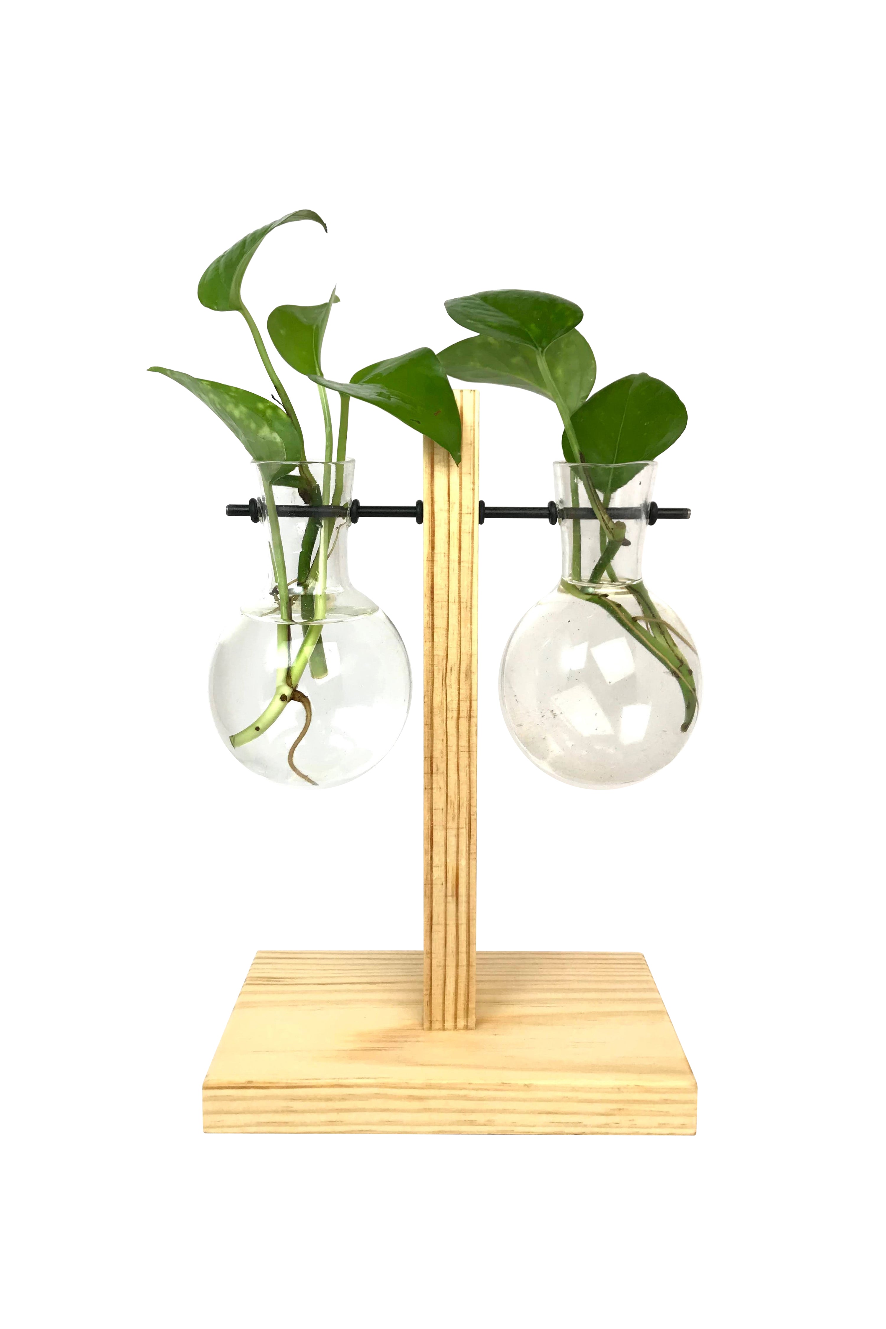 Desktop Garden - Weighing Scale Hydroponic Planter — image 1