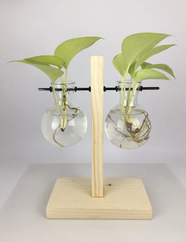 Desktop Garden - Weighing Scale Hydroponic Planter — image 2