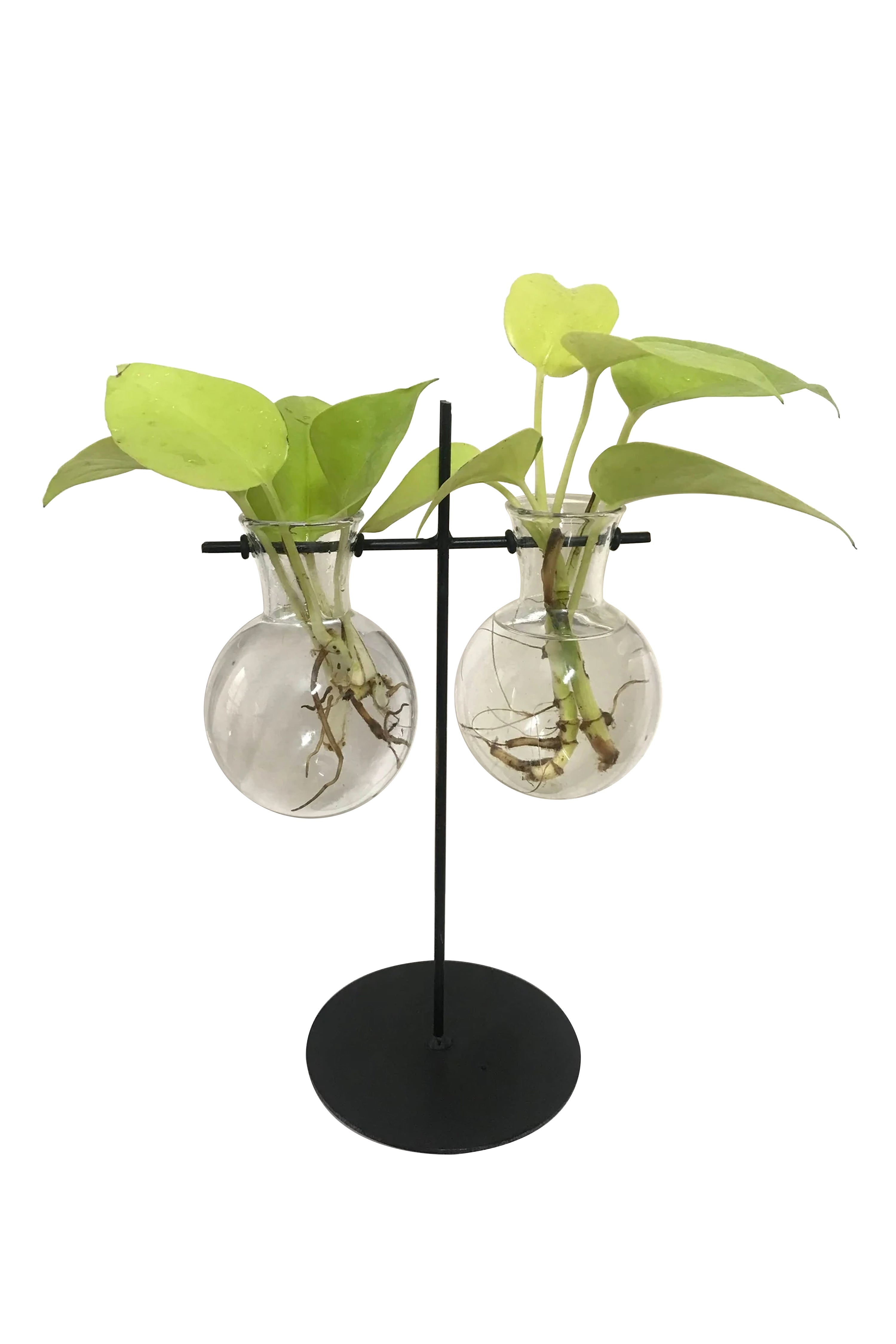 Desktop Garden - Weighing scale metal Planter