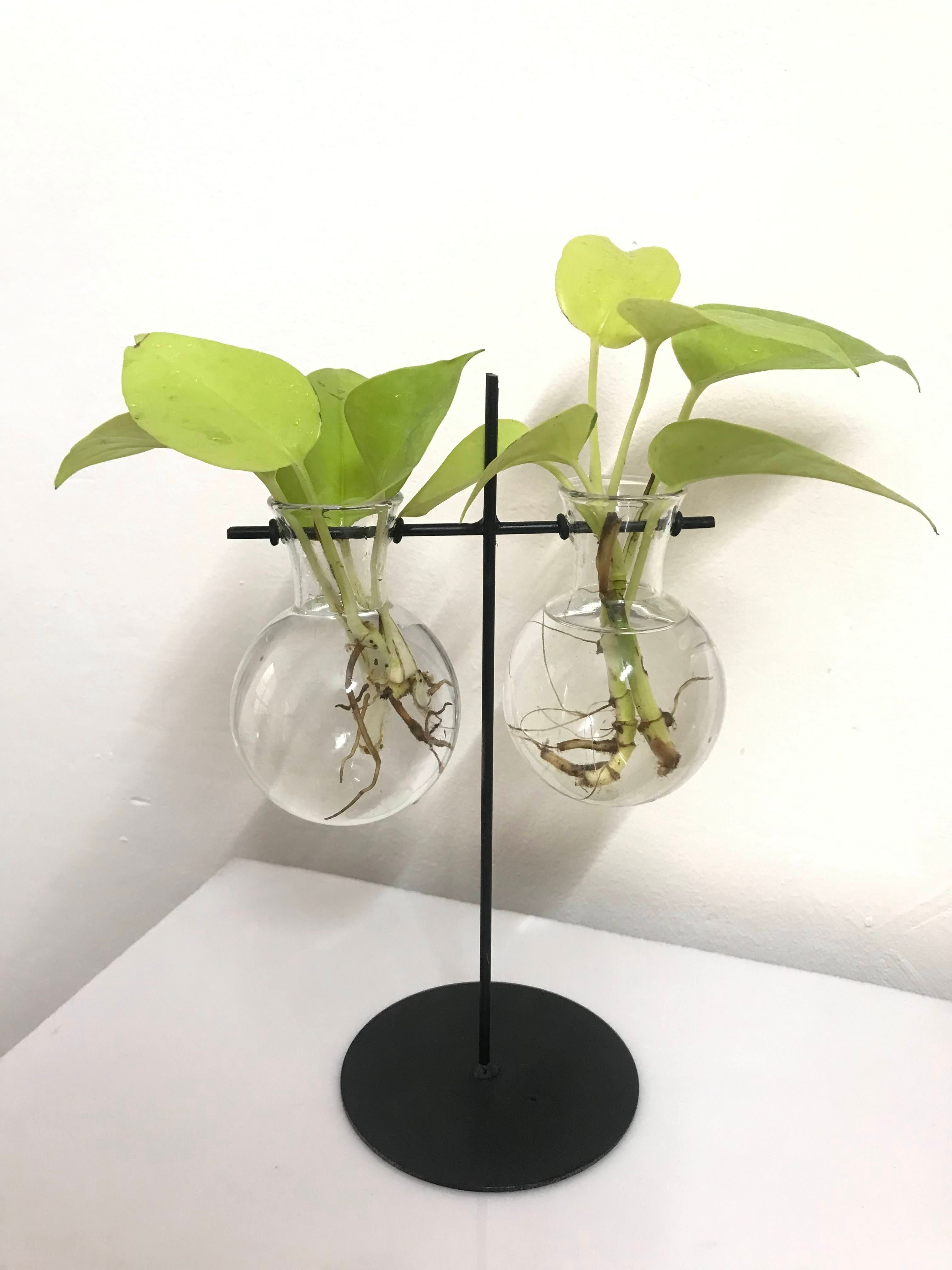 Desktop Garden - Weighing scale metal Planter — image 2