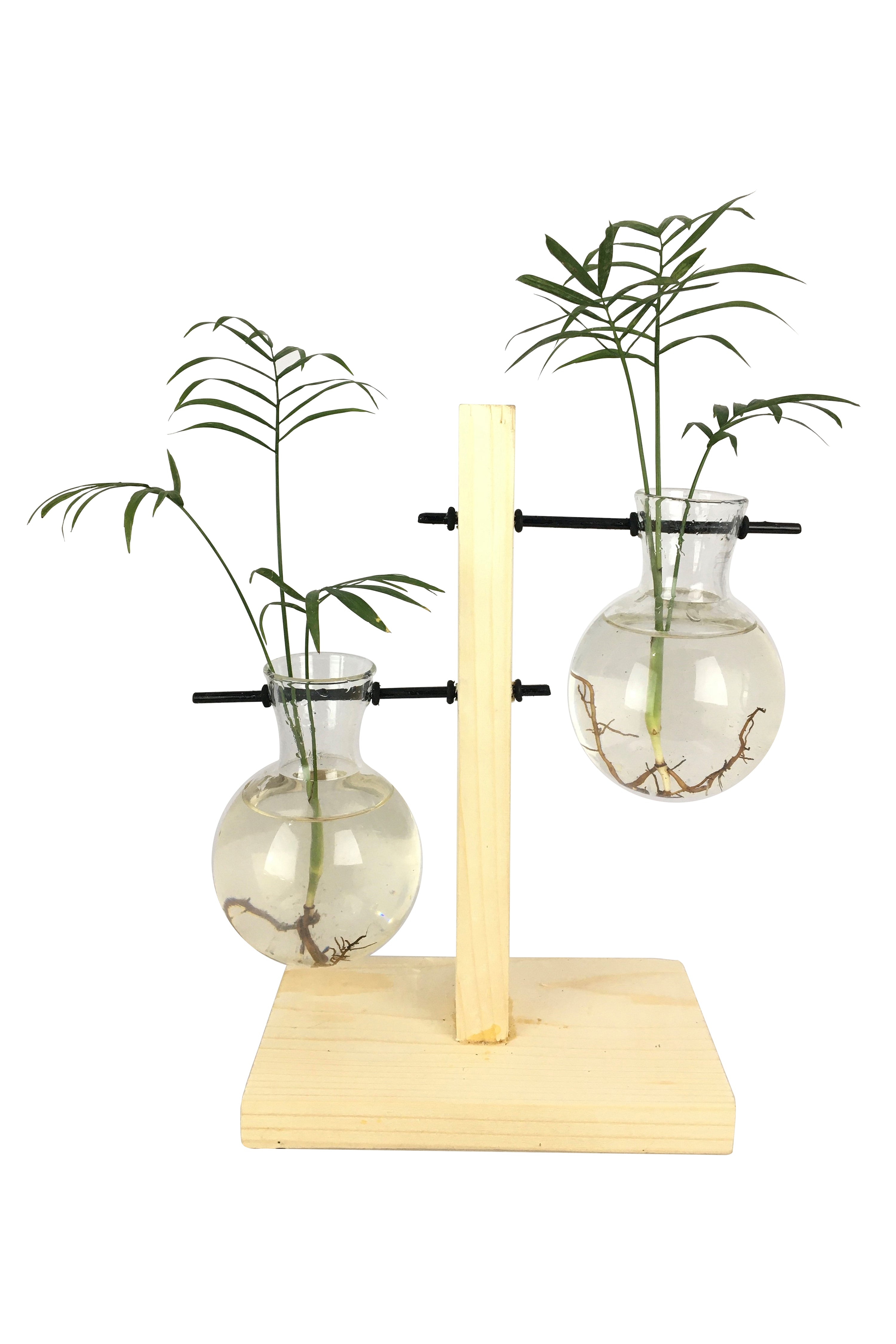 Desktop Garden - Weighing Scale (Uneven ) Hydroponic Planter