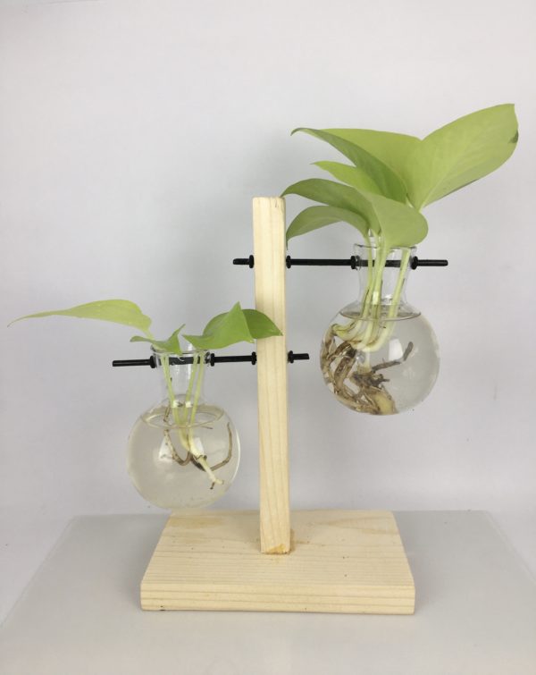 Desktop Garden - Weighing Scale (Uneven ) Hydroponic Planter — image 2
