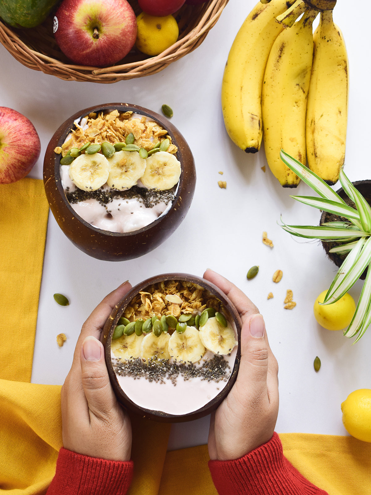Jumbo Coconut Food Bowl (Set of 4) — image 2