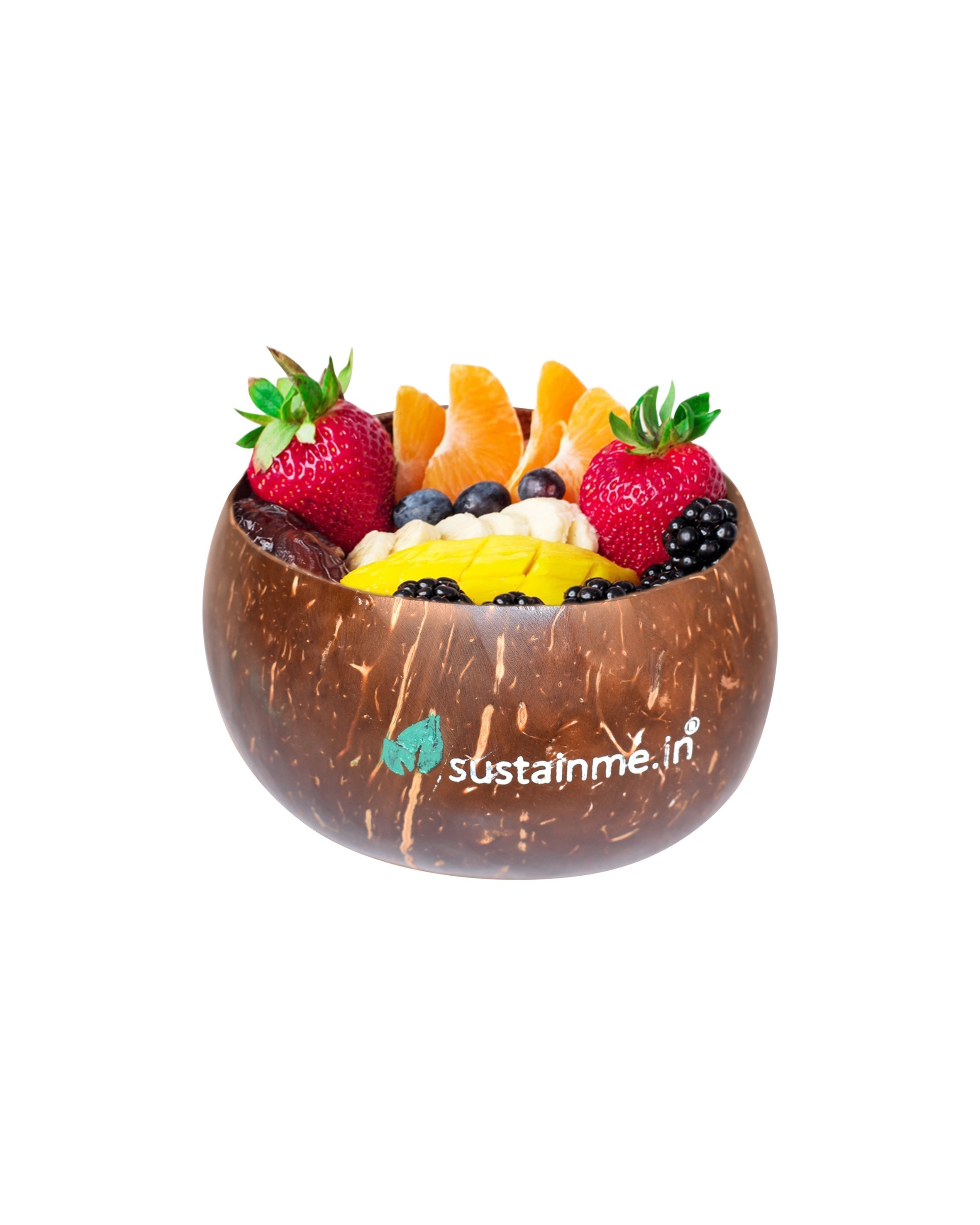 Jumbo Coconut Food Bowl (Set of 4) — image 4