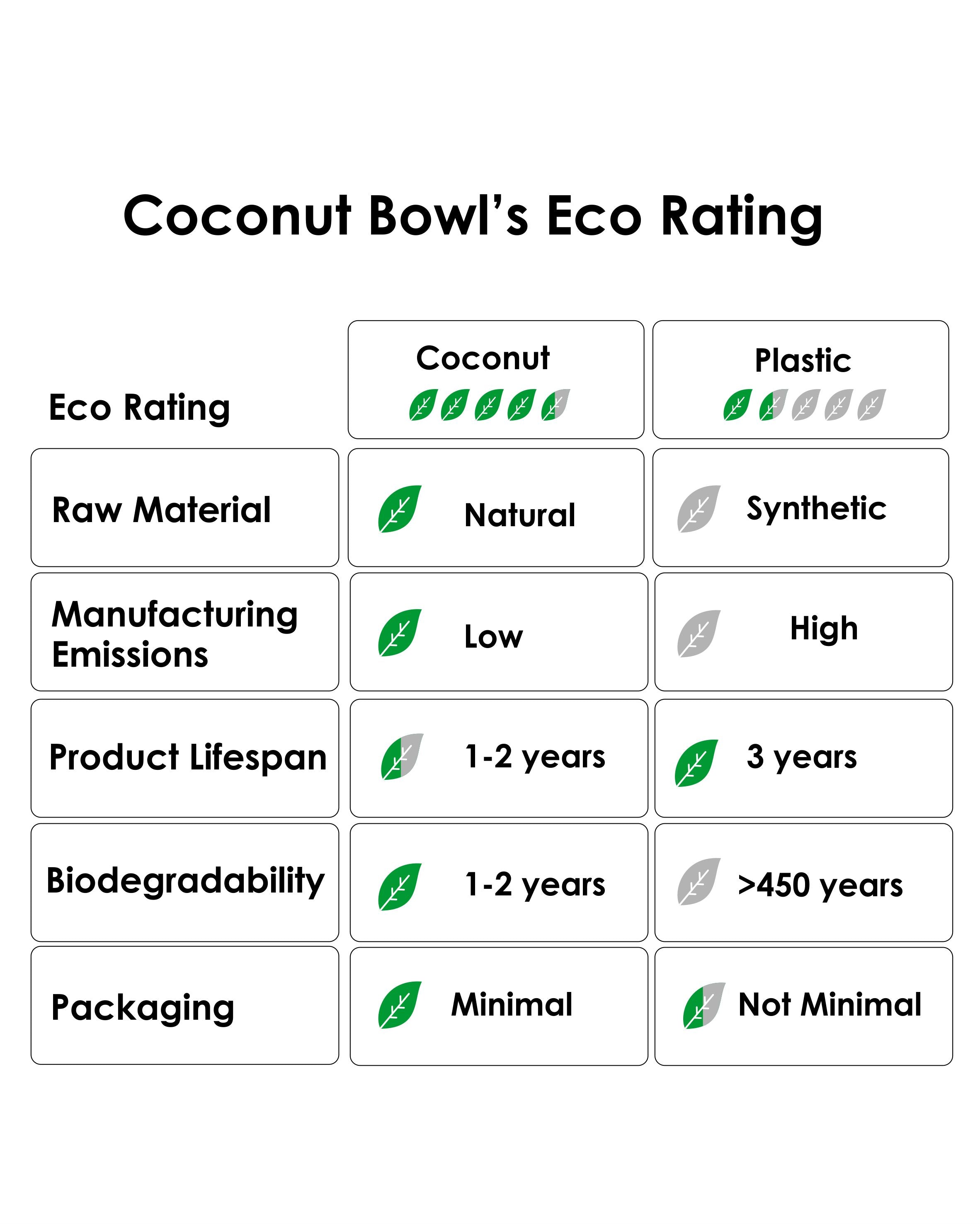 Jumbo Coconut Food Bowl with loop Spoon ( Set of 2 ) — image 6