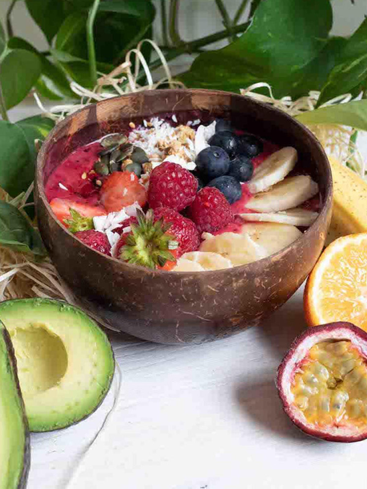 Jumbo Coconut Food Bowl with Spoon — image 4