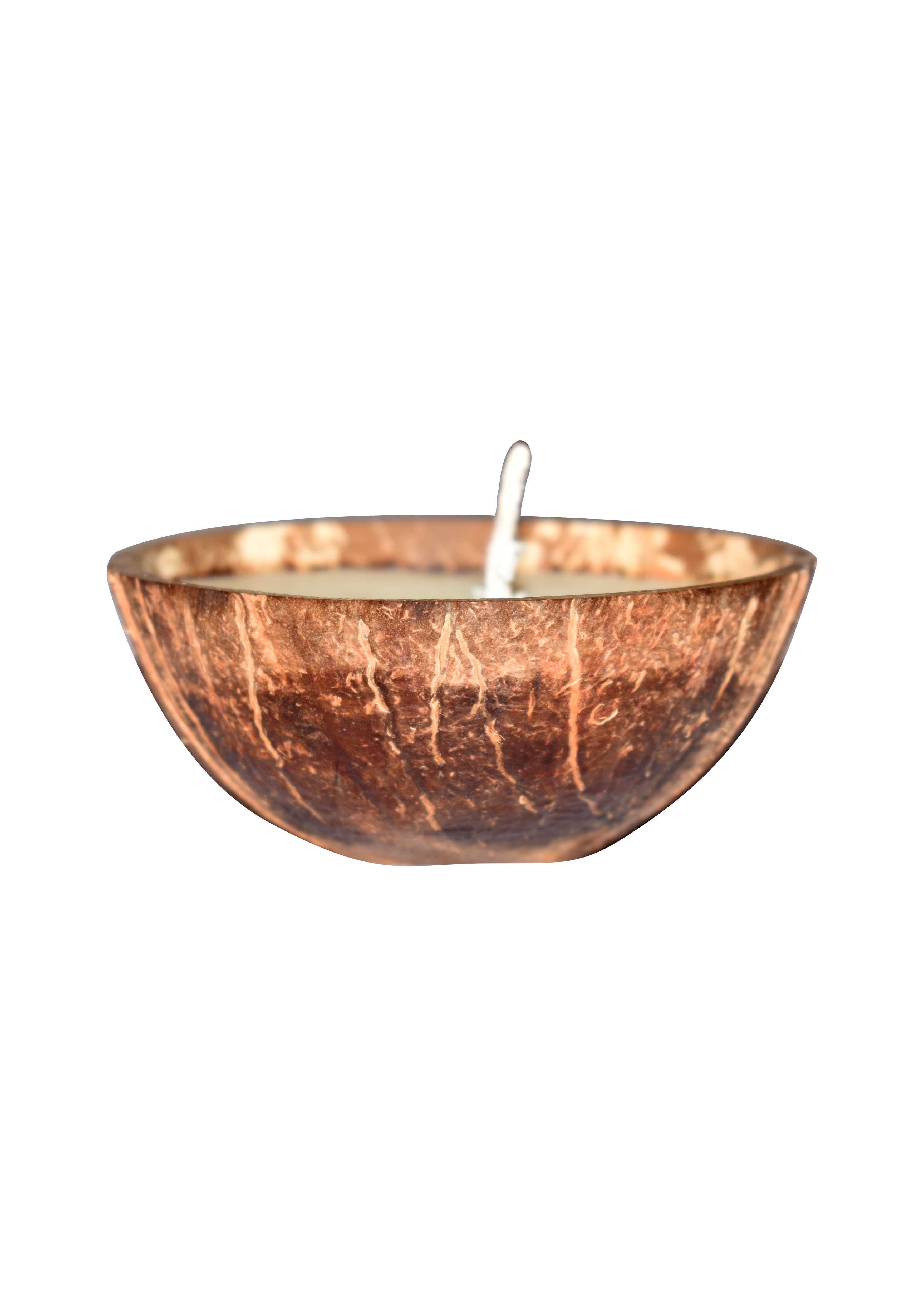 Tea Tree HANDMADE COCONUT SHELL CANDLE — image 4